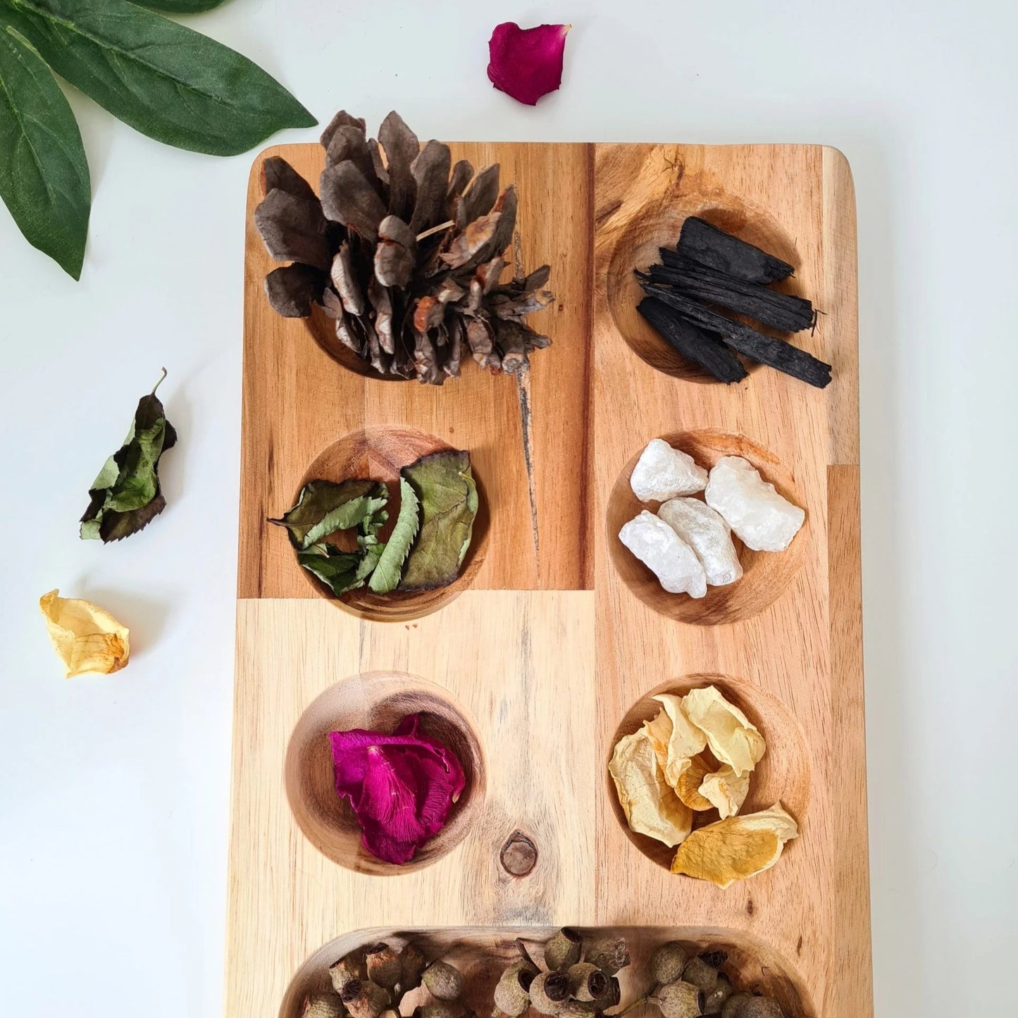 Wooden montessori sorting tray with compartments containing various dried herbs and flowers on a white background.