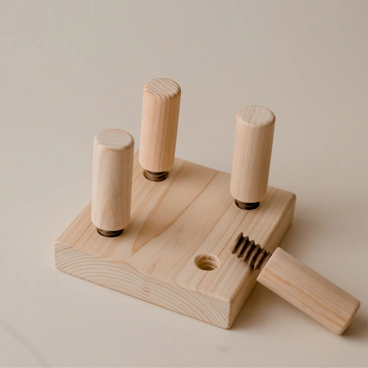 Wooden Screw Game – QToys | Sensory Toy NZ