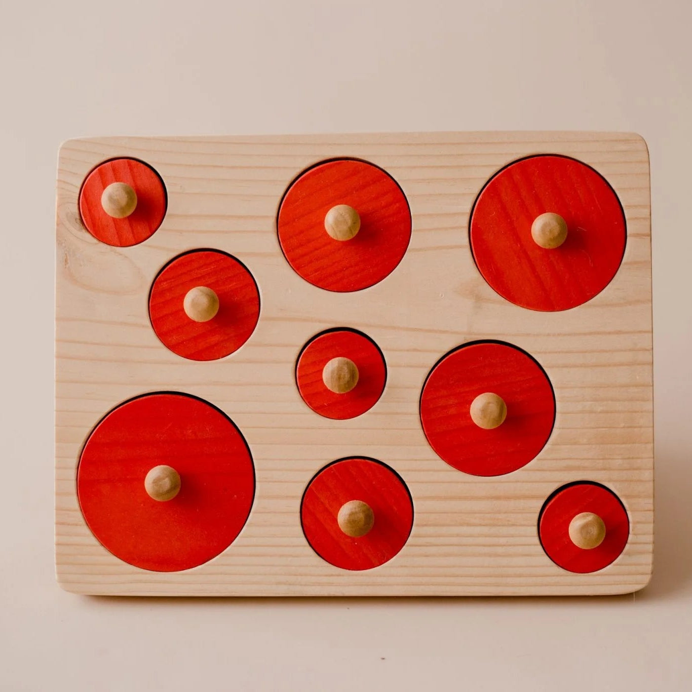 Montessori Size Sorting Knob Puzzle - Qtoys | Wooden Toy NZ