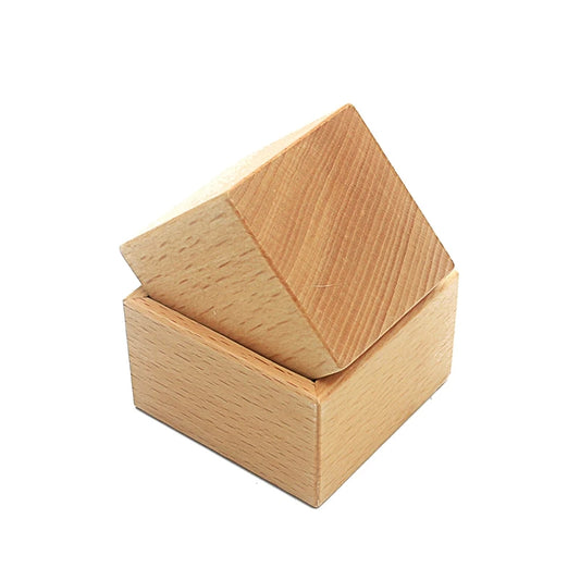 Montessori First Object Permanence Box – Wooden Inset Toy