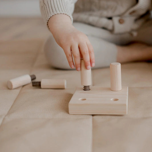 Wooden Screw Game – QToys | Sensory Toy NZ