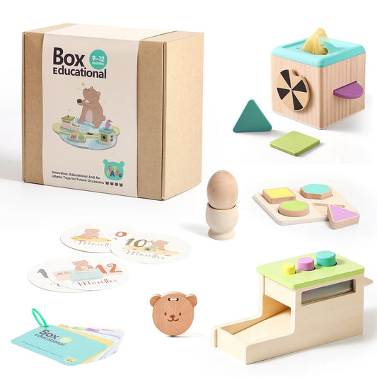 Montessori 9-12m Wooden Developmental Play Box