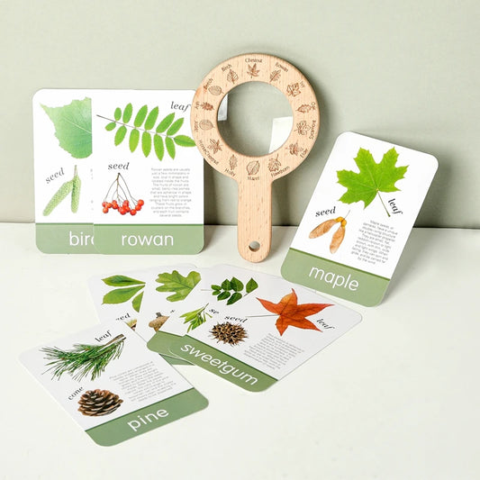 Nature Explorer Set – Wooden Magnifying Glass & Tree Identification Cards