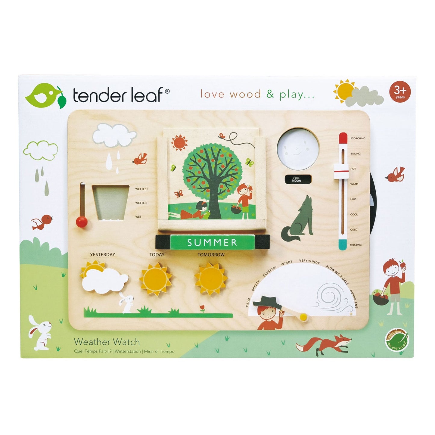 Tender Leaf Toys Wooden Weather Station detail or lifestyle view