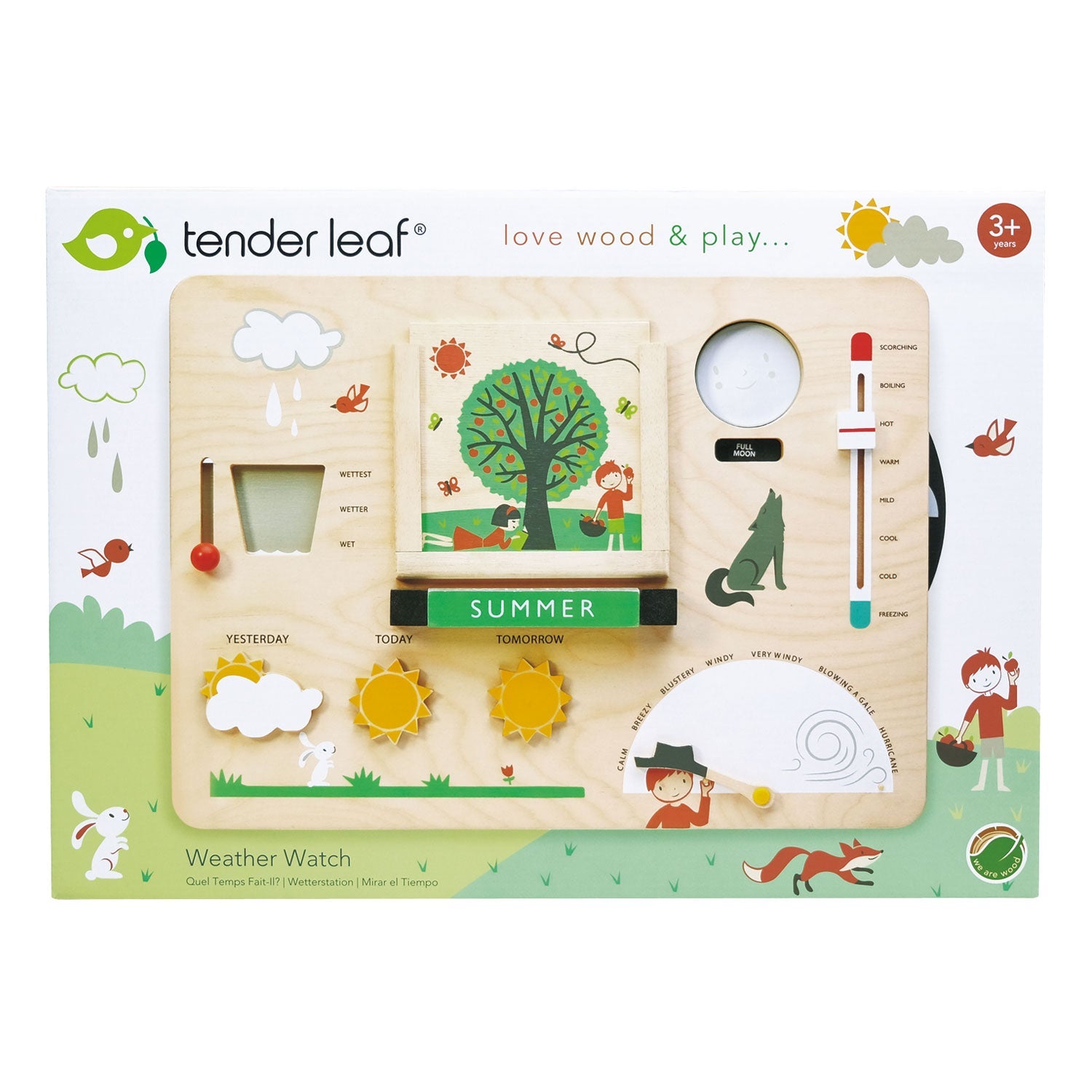Tender Leaf Toys Wooden Weather Station detail or lifestyle view