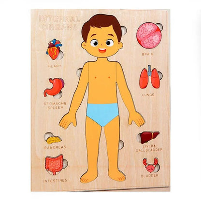 Montessori Wooden Human Body Organs Puzzle – Educational STEM Anatomy Puzzle