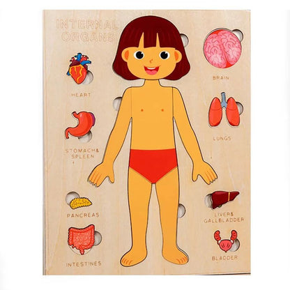 Montessori Wooden Human Body Organs Puzzle – Educational STEM Anatomy Puzzle