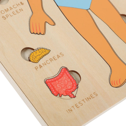 Montessori Wooden Human Body Organs Puzzle – Educational STEM Anatomy Puzzle