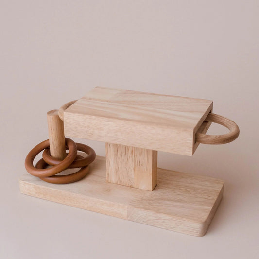 Wooden Montessori Rings Posting Activity - Qtoys | Montessori Toy NZ