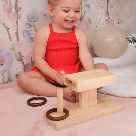 Wooden Montessori Rings Posting Activity - Qtoys | Montessori Toy NZ